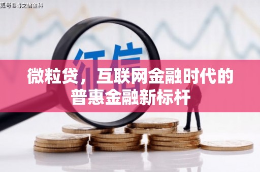 剑阁微粒贷，互联网金融时代的普惠金融新标杆