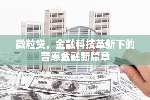 剑阁微粒贷，金融科技革新下的普惠金融新篇章