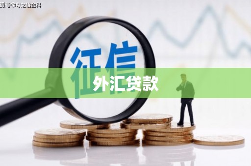 剑阁外汇贷款