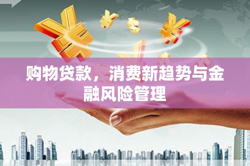 剑阁购物贷款，消费新趋势与金融风险管理