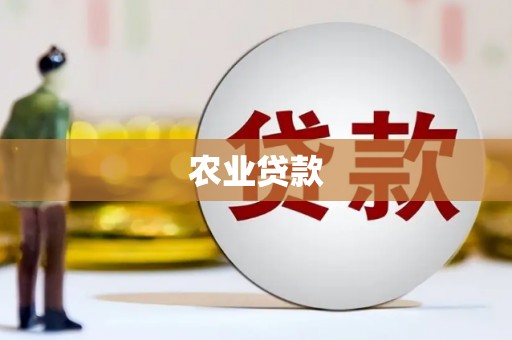 剑阁农业贷款