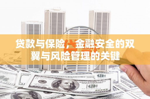 剑阁贷款与保险，金融安全的双翼与风险管理的关键