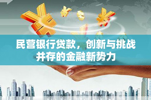 剑阁民营银行贷款，创新与挑战并存的金融新势力