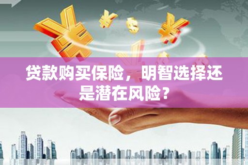剑阁贷款购买保险，明智选择还是潜在风险？