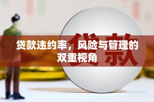 剑阁贷款违约率，风险与管理的双重视角