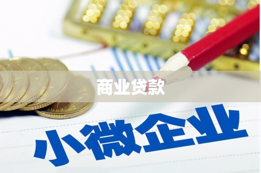 剑阁商业贷款