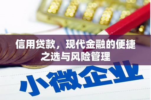 剑阁信用贷款，现代金融的便捷之选与风险管理