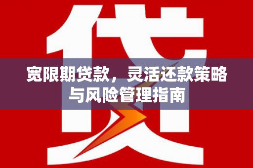 剑阁宽限期贷款，灵活还款策略与风险管理指南