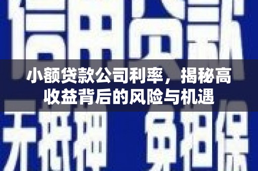 剑阁小额贷款公司利率，揭秘高收益背后的风险与机遇