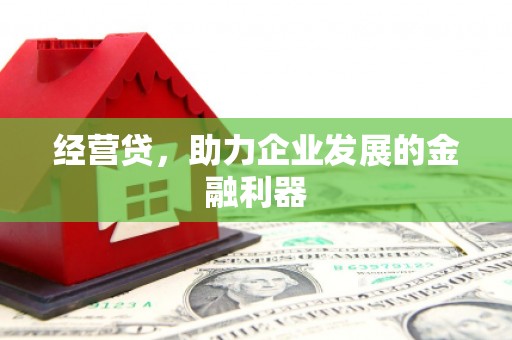 剑阁经营贷，助力企业发展的金融利器