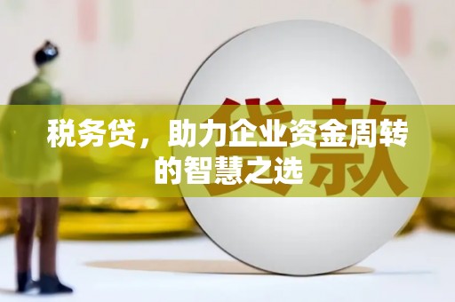剑阁税务贷，助力企业资金周转的智慧之选