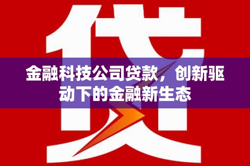 剑阁金融科技公司贷款，创新驱动下的金融新生态