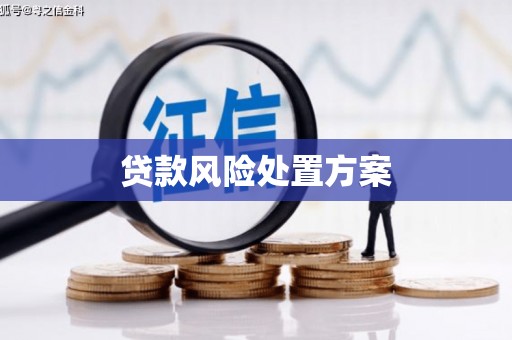 剑阁贷款风险处置方案