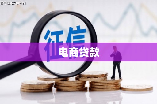 剑阁电商贷款