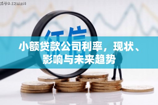 剑阁小额贷款公司利率，现状、影响与未来趋势
