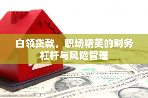 剑阁白领贷款，职场精英的财务杠杆与风险管理