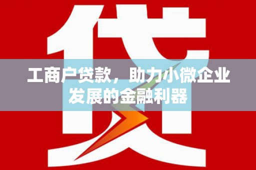 剑阁工商户贷款，助力小微企业发展的金融利器
