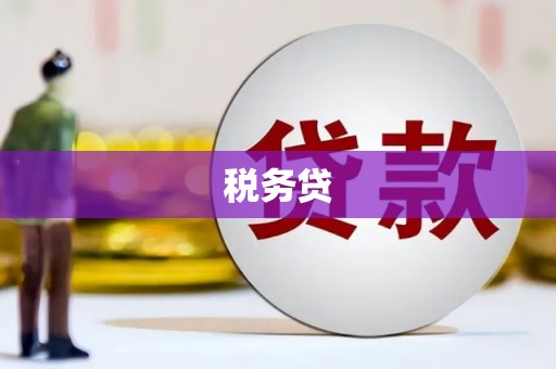 剑阁税务贷