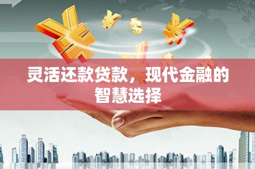 剑阁灵活还款贷款，现代金融的智慧选择