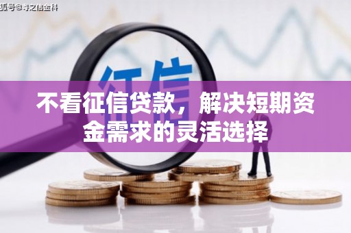 剑阁不看征信贷款，解决短期资金需求的灵活选择