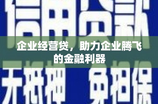 剑阁企业经营贷，助力企业腾飞的金融利器