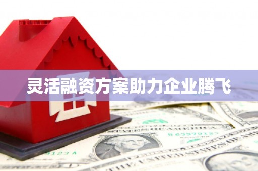 剑阁灵活融资方案助力企业腾飞
