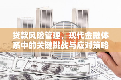 剑阁贷款风险管理，现代金融体系中的关键挑战与应对策略