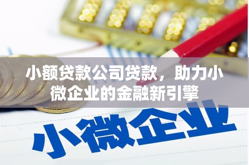 剑阁小额贷款公司贷款，助力小微企业的金融新引擎
