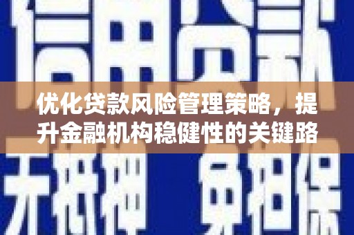 剑阁优化贷款风险管理策略，提升金融机构稳健性的关键路径