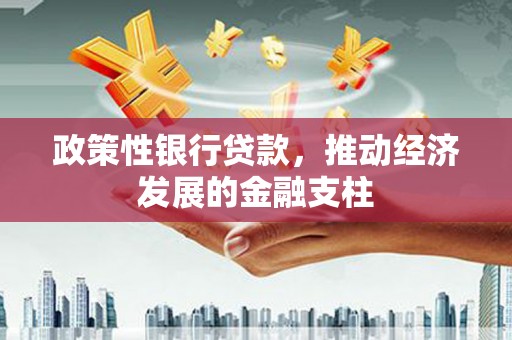 剑阁政策性银行贷款，推动经济发展的金融支柱