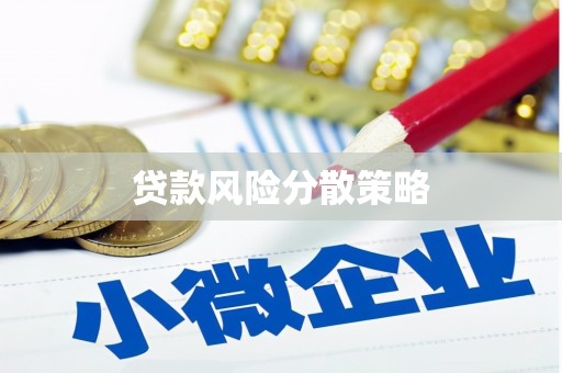 剑阁贷款风险分散策略