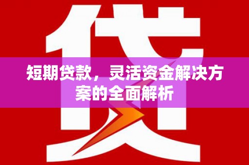 剑阁短期贷款，灵活资金解决方案的全面解析