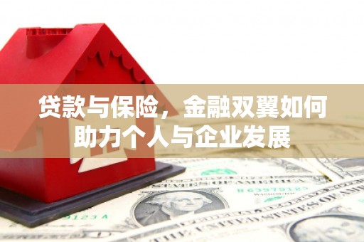 剑阁贷款与保险，金融双翼如何助力个人与企业发展