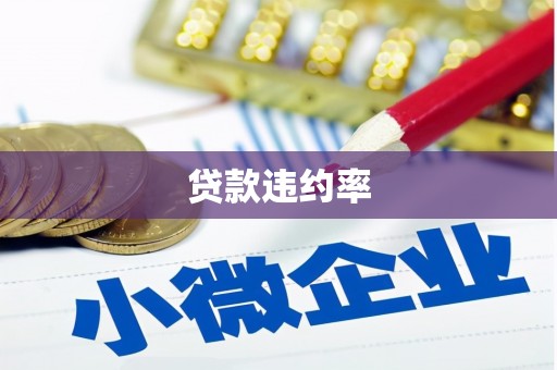 剑阁贷款违约率