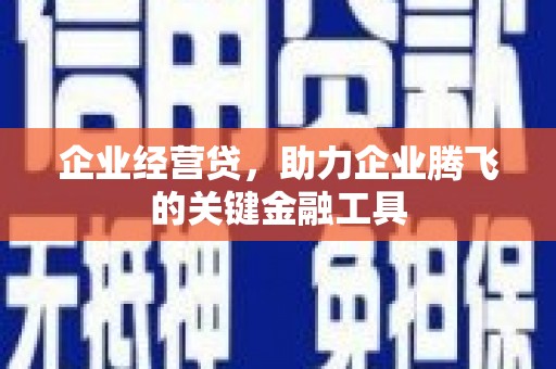 剑阁企业经营贷，助力企业腾飞的关键金融工具