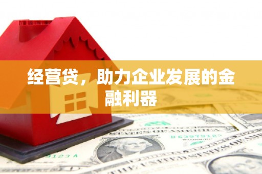 剑阁经营贷，助力企业发展的金融利器