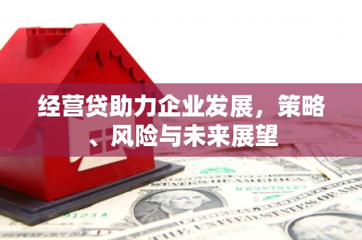 剑阁经营贷助力企业发展，策略、风险与未来展望