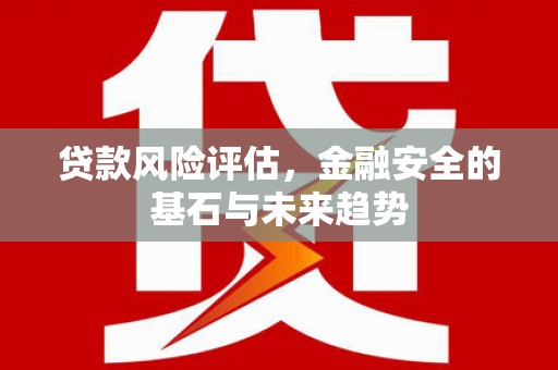 剑阁贷款风险评估，金融安全的基石与未来趋势