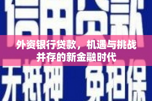 剑阁外资银行贷款，机遇与挑战并存的新金融时代