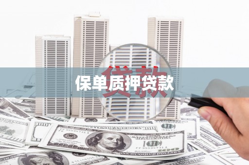 剑阁保单质押贷款