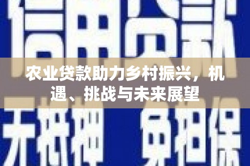 剑阁农业贷款助力乡村振兴，机遇、挑战与未来展望