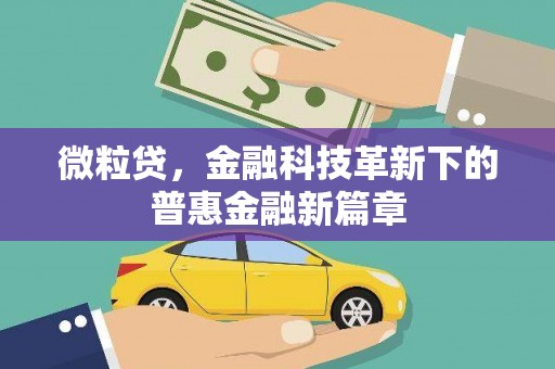 剑阁微粒贷，金融科技革新下的普惠金融新篇章
