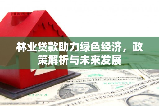 剑阁林业贷款助力绿色经济，政策解析与未来发展