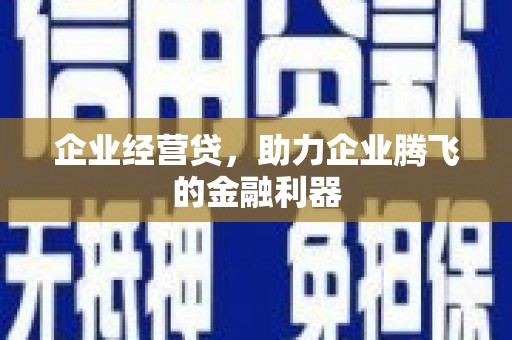 剑阁企业经营贷，助力企业腾飞的金融利器