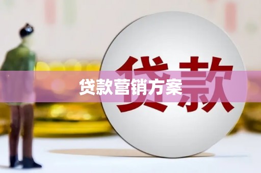 剑阁贷款营销方案