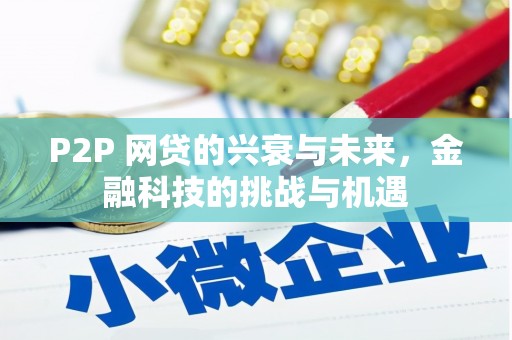 剑阁P2P 网贷的兴衰与未来，金融科技的挑战与机遇