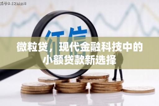 剑阁微粒贷，现代金融科技中的小额贷款新选择