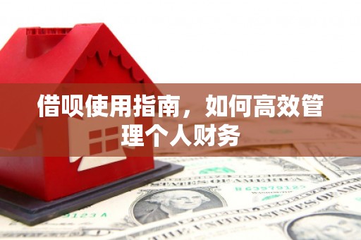 剑阁借呗使用指南，如何高效管理个人财务