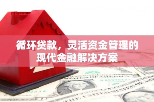 剑阁循环贷款，灵活资金管理的现代金融解决方案