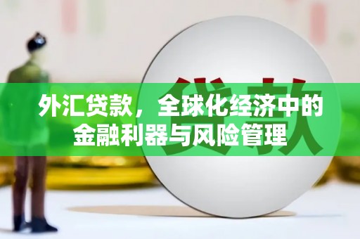 剑阁外汇贷款，全球化经济中的金融利器与风险管理